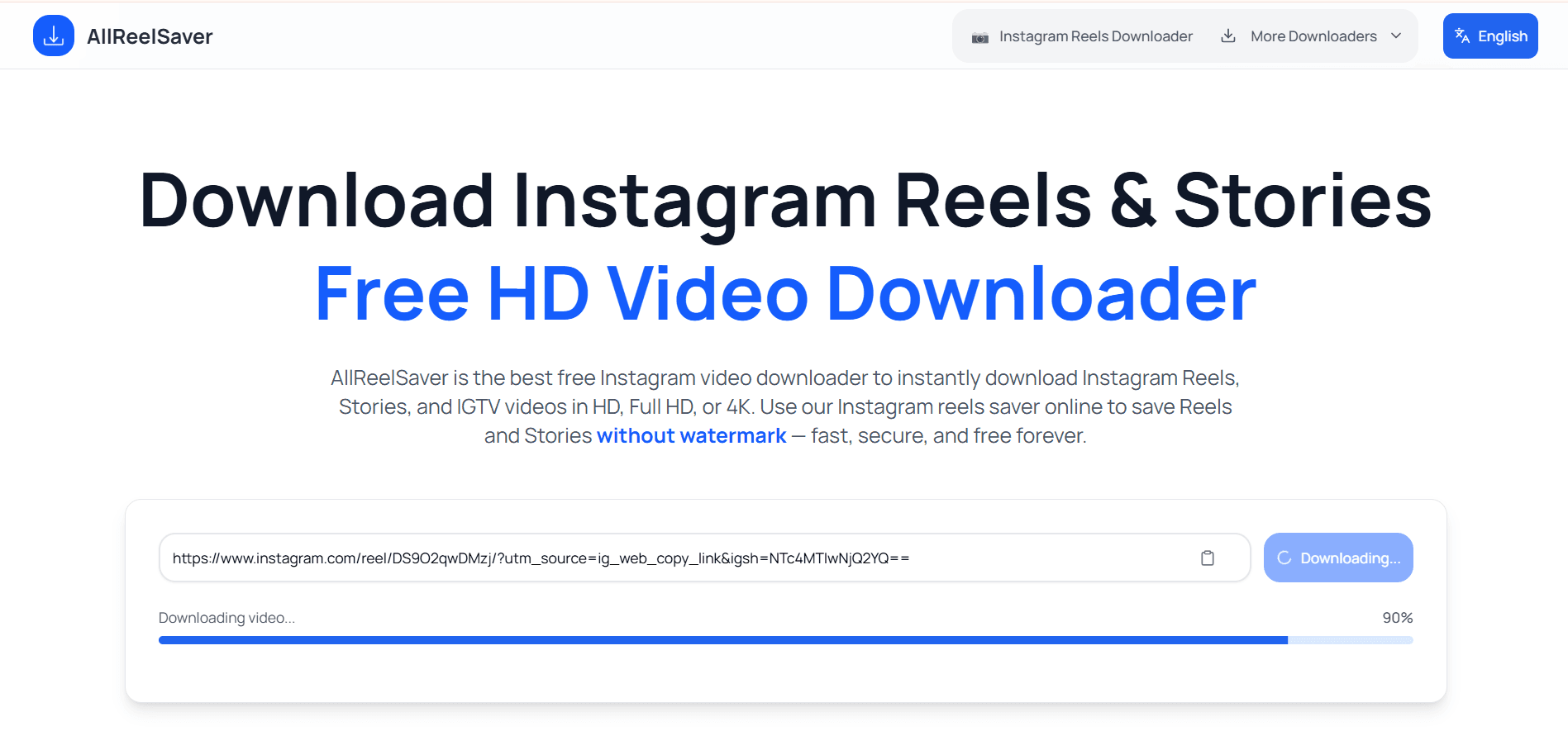AllReelSaver - Social Media Video Downloader Platform detail 3