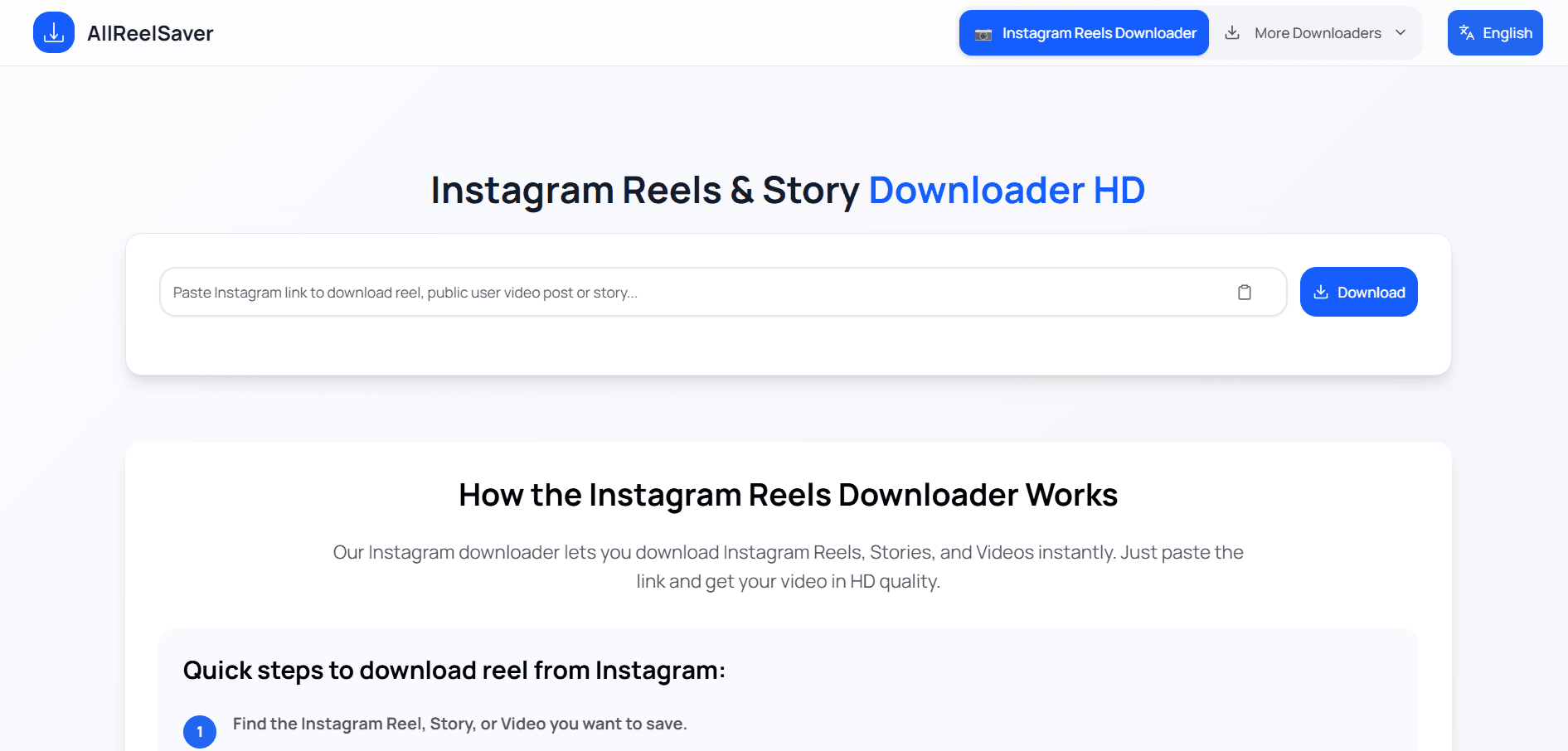 AllReelSaver - Social Media Video Downloader Platform detail 2